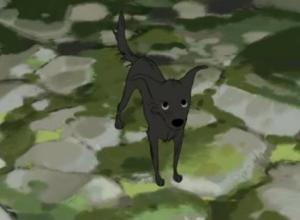 Minkyu Lee, Adam and Dog