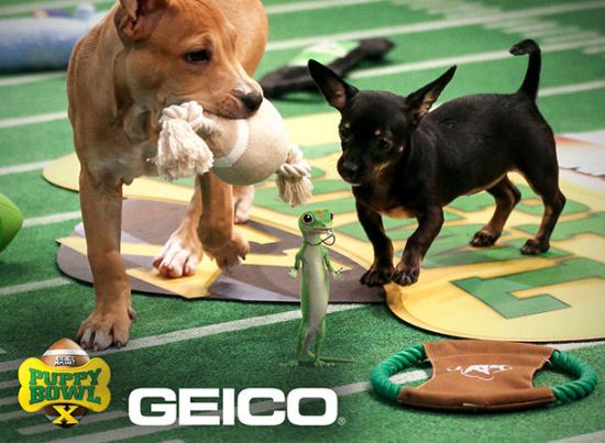 Puppy Bowl X, Animal Planet