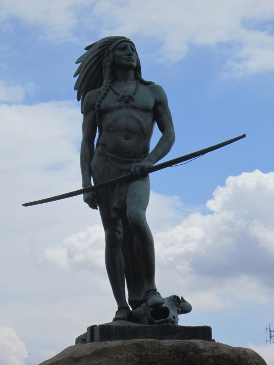 Passing of the Buffalo!