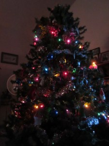 O Christmas Tree!