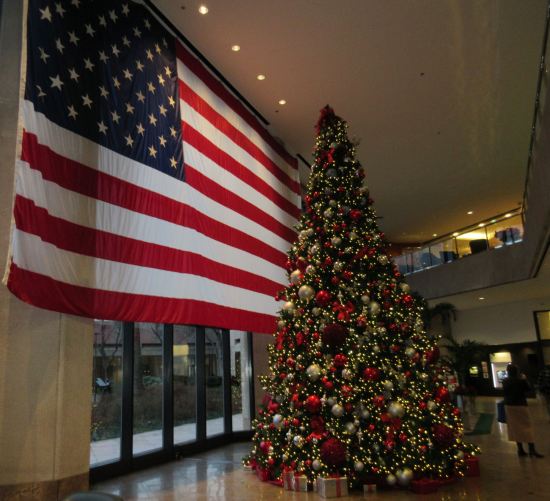 Giant Christmas Tree!