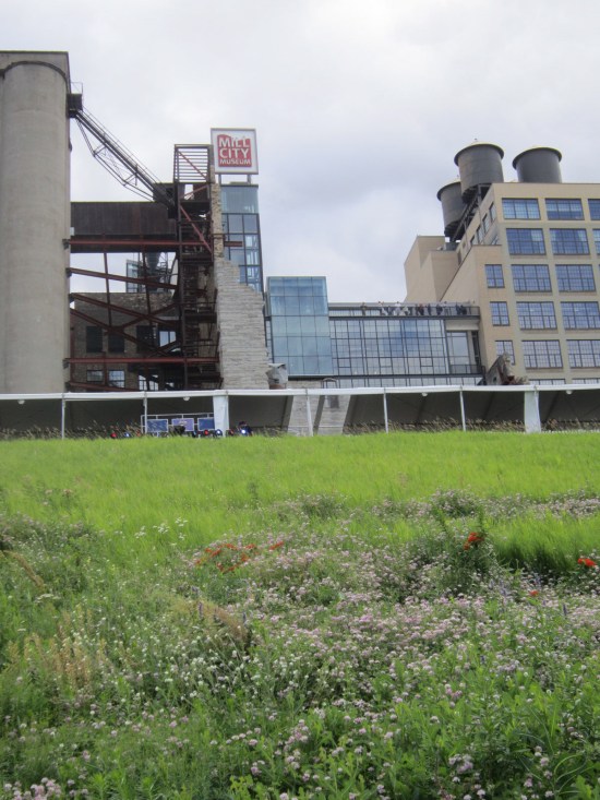 Mill City Weeds!