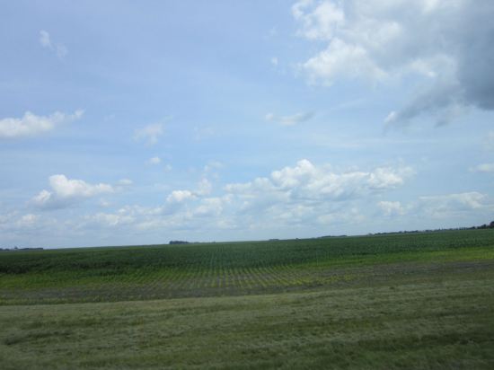 Farmland!