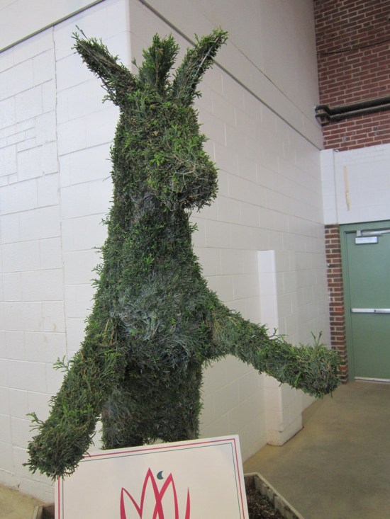 Topiary Donkey!
