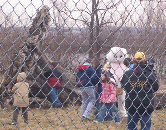 Easter Bunny in Charge!