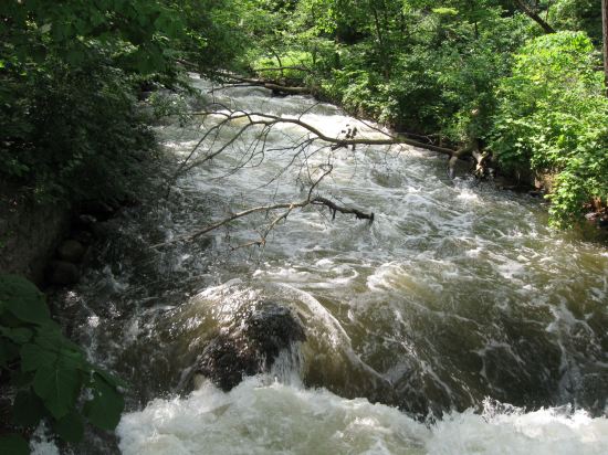 Minnetonka Creek Rapids!