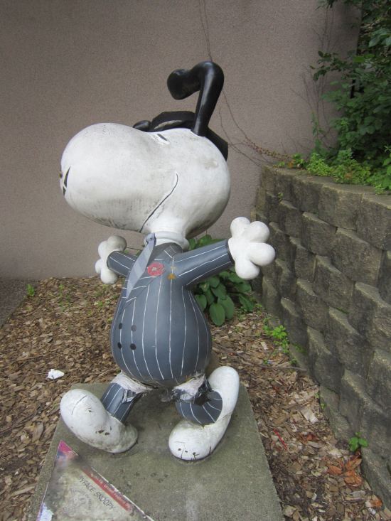 Snoopy Capone!