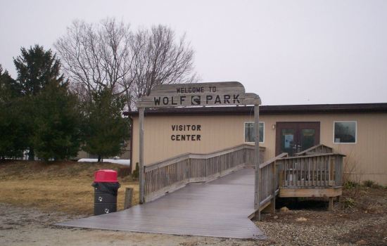 Wolf Park!