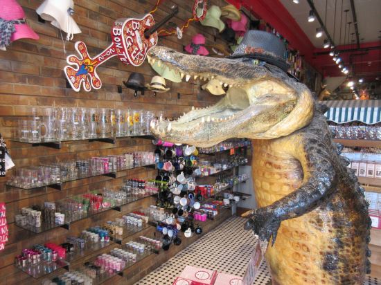 Shot Glass Gator!