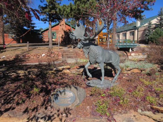 Woodland Park Moose!