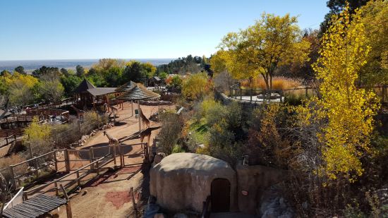 Cheyenne Mountain Zoo!