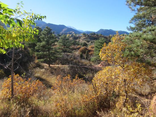 Red Rock Fall Color!