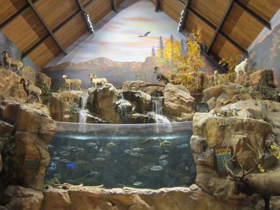 Bass Pro Shops Diorama!