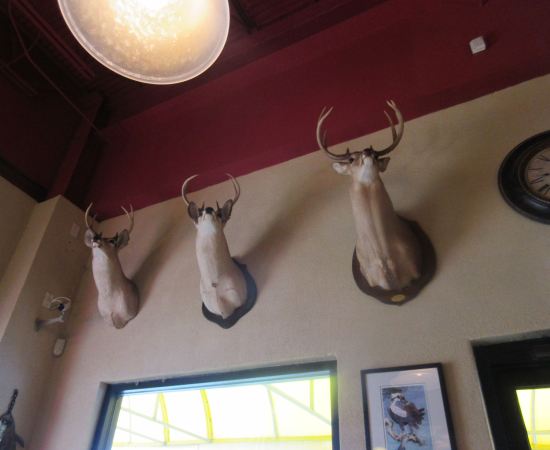 Deer Heads!