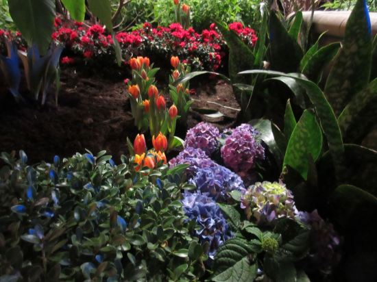 Indiana Flower & Patio Show!