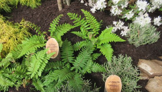 Indiana Flower & Patio Show!