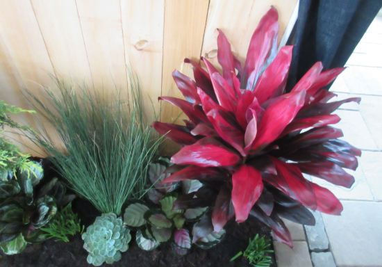 Indiana Flower & Patio Show!