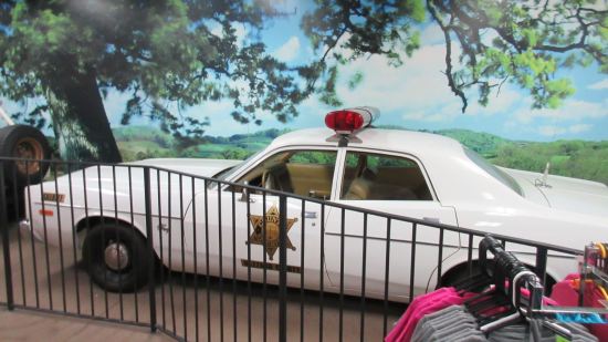 Roscoe's Sheriff Car!