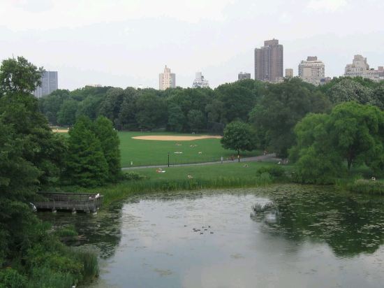 Central Park!