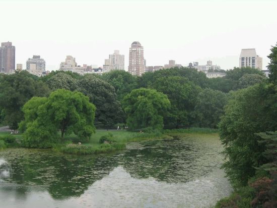 Central Park!