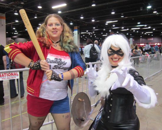 Harley & Black Cat!
