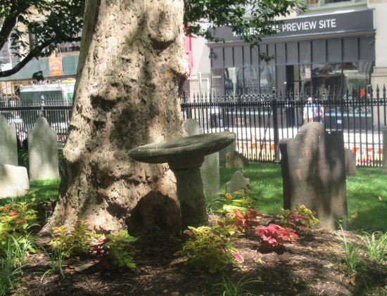 St. Paul's birdbath!