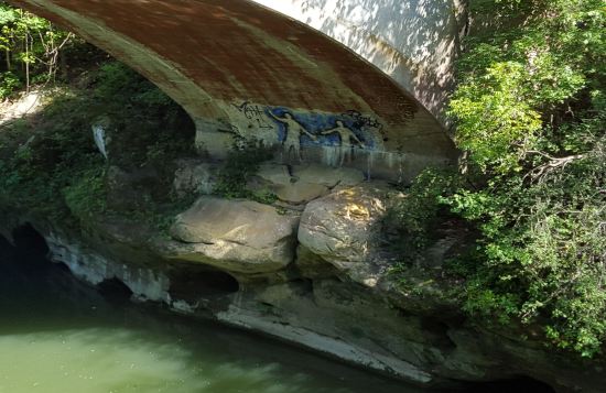 Turkey Run State Park!