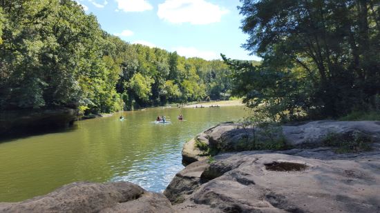 Turkey Run State Park!