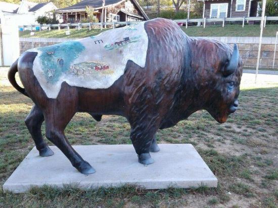 Orange County bison!