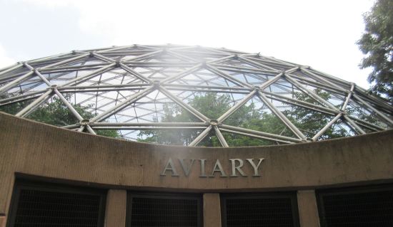 aviary!