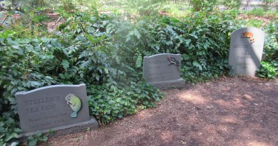 Extinct Species Graveyard!