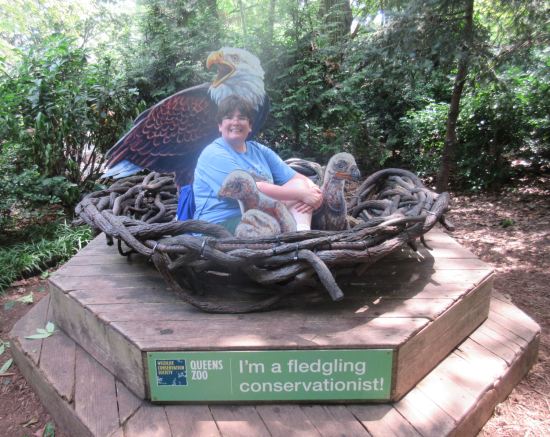 fledgling conservationist!