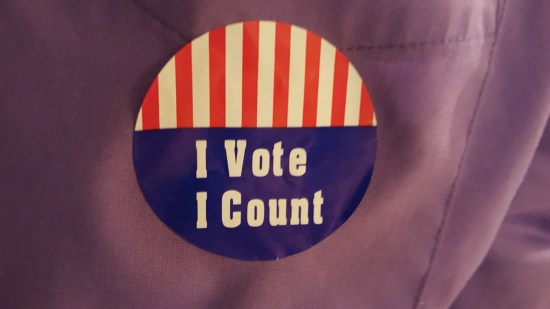 I Voted! I Count!