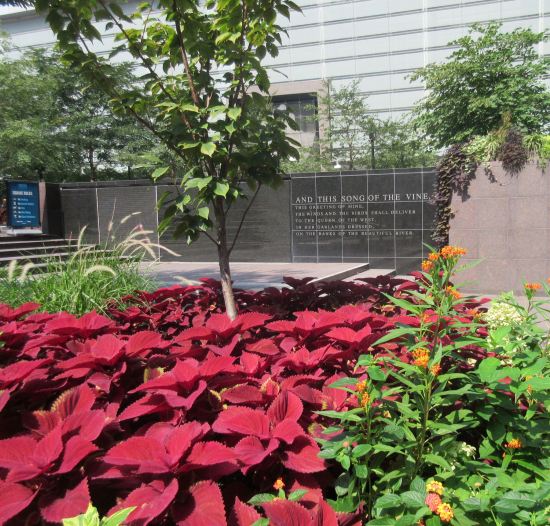 Fountain Square flowers!