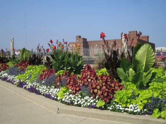 Union Terminal flowers!