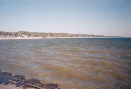Lake Michigan Shore!