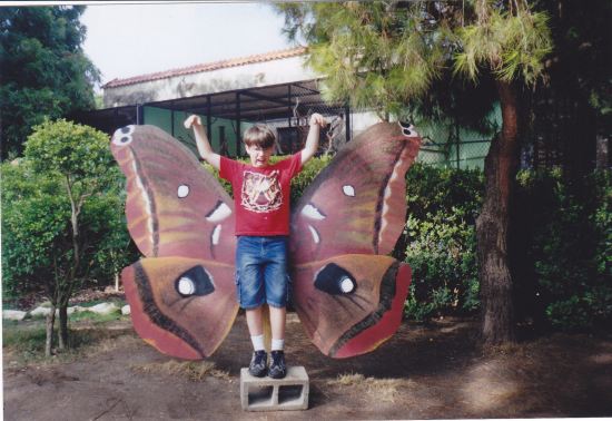 Butterfly Boy!