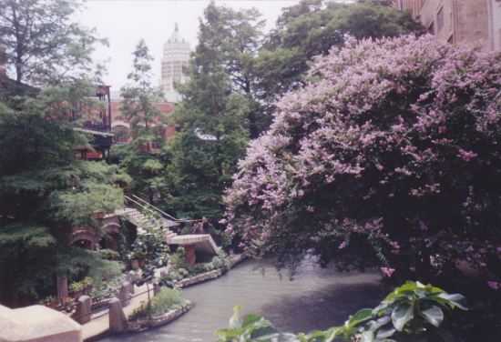 San Antonio Riverwalk!
