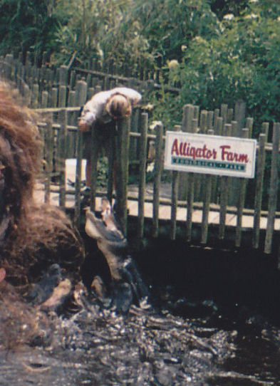 Alligator Feeding Time!