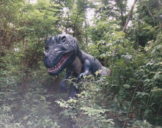 Lurking T-Rex!