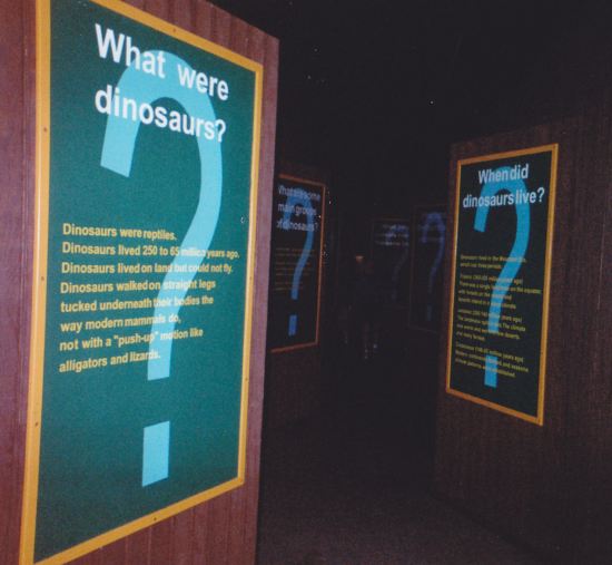 What Were Dinosaurs!