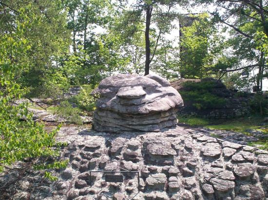 Tortoise Shell Rock!