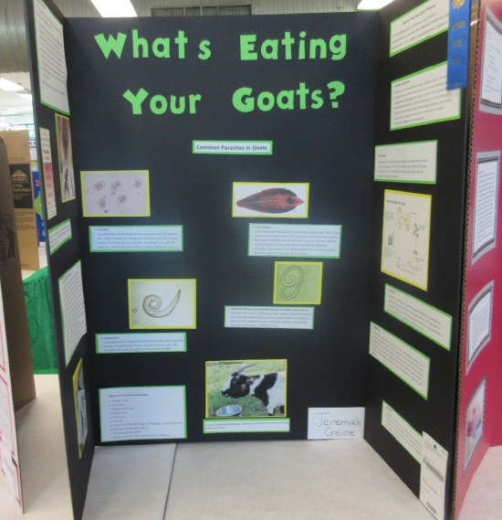 Goat Parasites!
