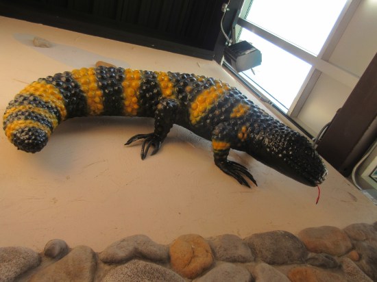 Gila Monster!