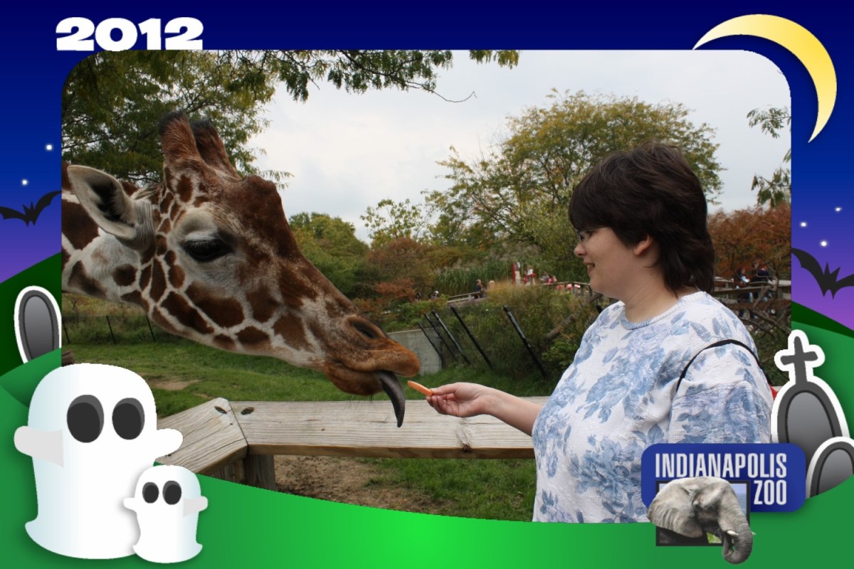 Anne + Giraffe!