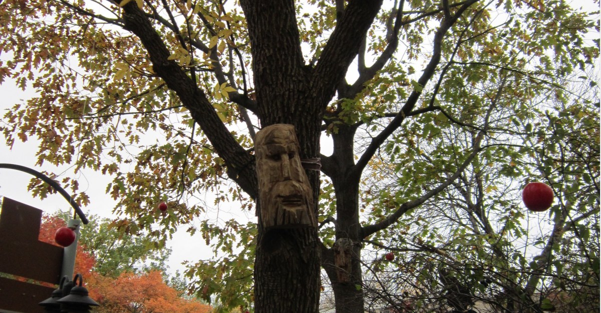 tree totem!