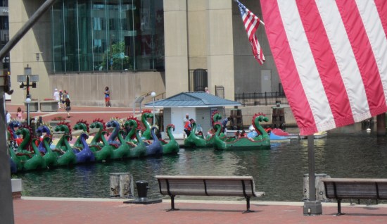 Dragon Boats!