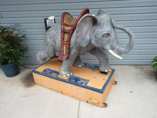 elephant ride!