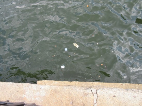 Harbor Litter.