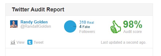 Twitter Audit Report!